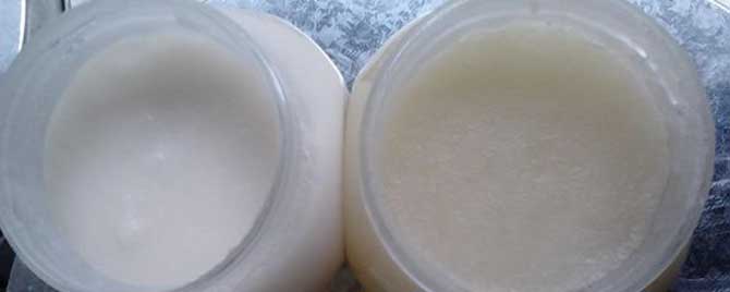 白蜂蜜好还是黄蜂蜜好