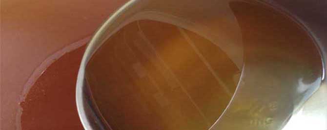 柑橘蜜和椴树蜜哪个好