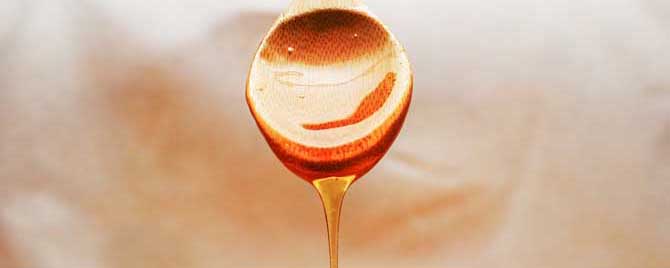 纯天然百花蜜多少钱一斤