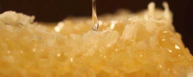 老蜂巢蜜和新蜂巢蜜哪个好