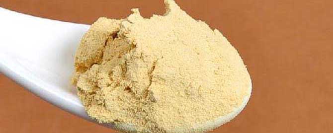 纯天然松花粉多少钱一斤