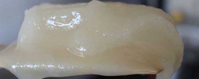 太阳下暴晒蜂蜜结晶会融化吗