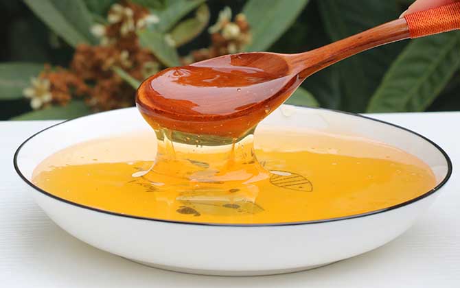 枇杷蜜和枣花蜜哪个好