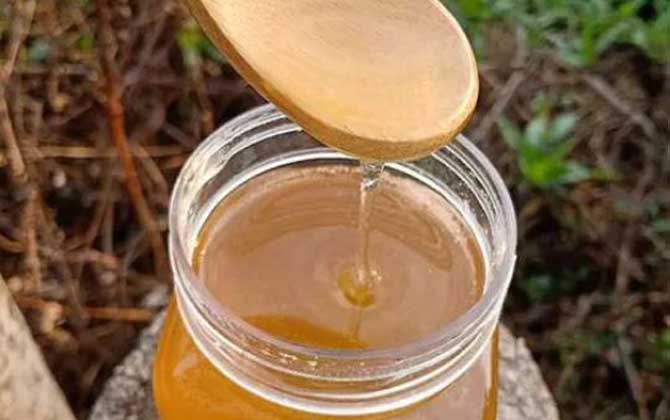 正宗枇杷蜜是什么样的