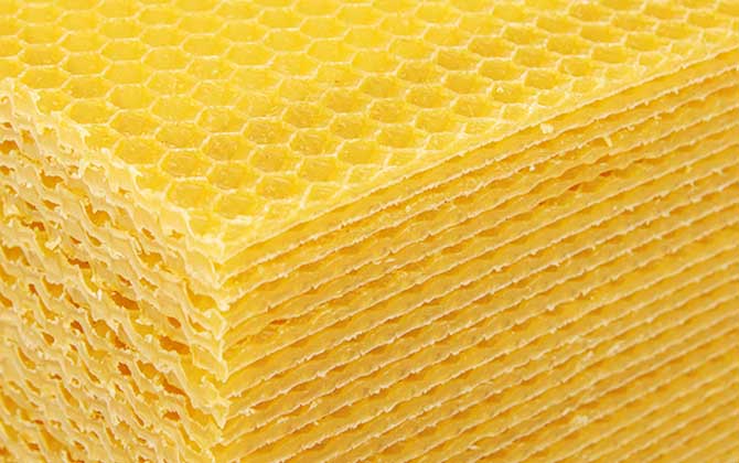 巢础是用什么做的