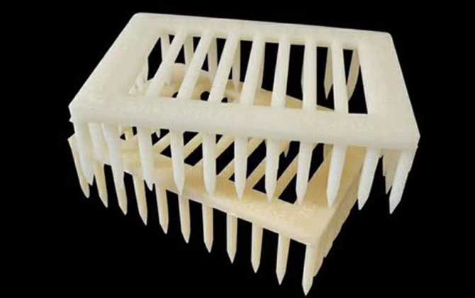 囚王笼中的蜂王要怎么饲喂