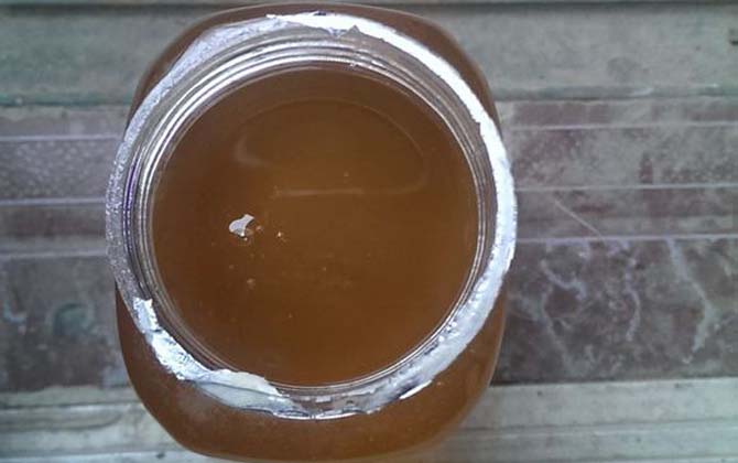 蜂蜜是蜜蜂吐出来的还是拉出来的