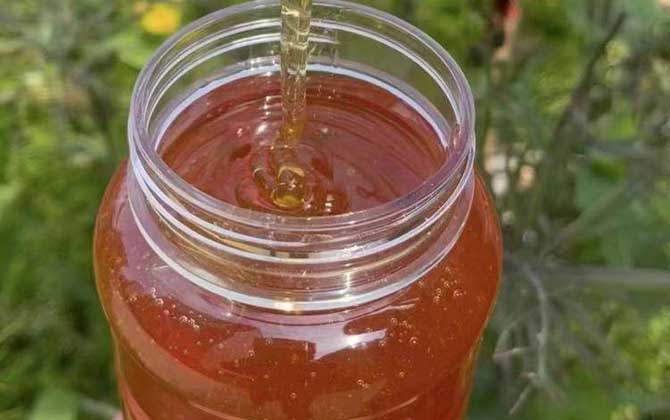 枣花蜜容易结晶吗