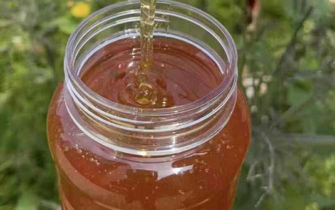 枣花蜜为什么是二等蜜