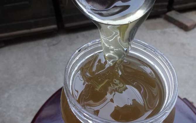 什么蜂蜜美白效果最好