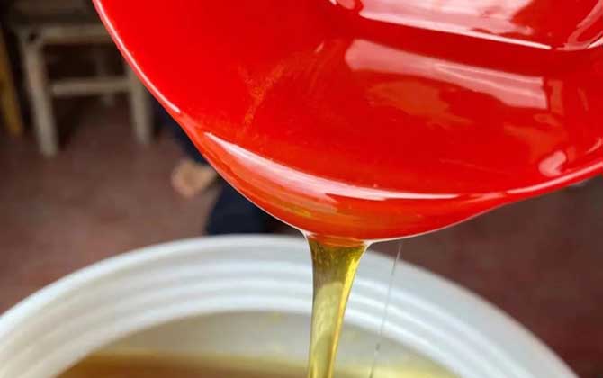 五倍子蜂蜜属于几等蜜