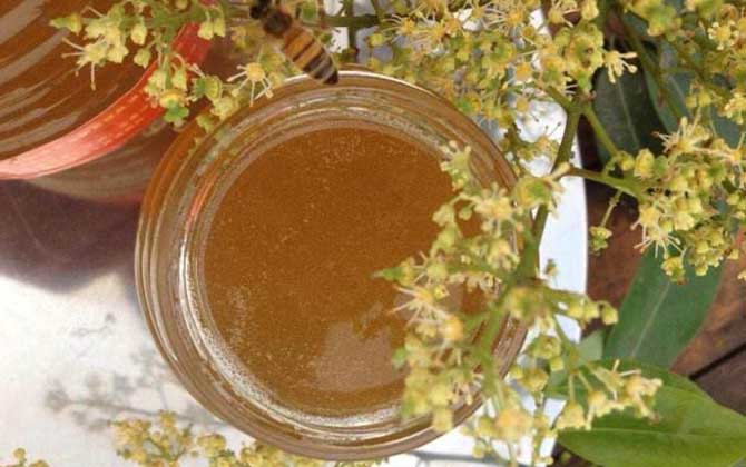 蜂蜜过期了有什么用处要看变没变质，若未变质不影响食用