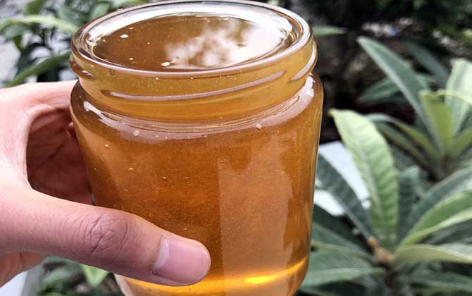 最好的蜂蜜是什么蜜主要取决于成熟度，自然成熟蜜都算好蜂蜜