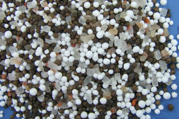 君子兰多久施肥一次,每隔20天为植株提供一次养分