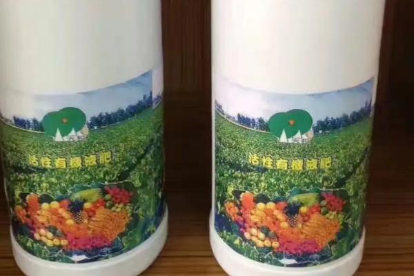 君子兰多久施肥一次,每隔20天为植株提供一次养分