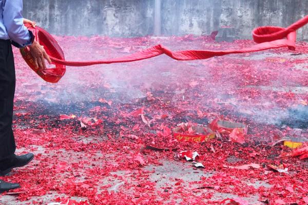 如何防止野猪吃庄稼,可以在庄稼外围种上薄荷或打木桩