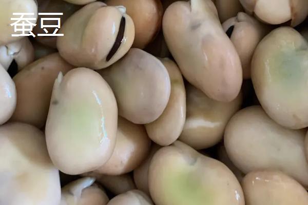 蚕豆和兰花豆有什么区别,兰花豆是用蚕豆加工出来的食品