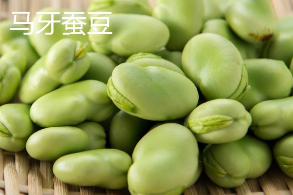 蚕豆和兰花豆有什么区别,兰花豆是用蚕豆加工出来的食品