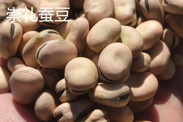 蚕豆和兰花豆有什么区别,兰花豆是用蚕豆加工出来的食品