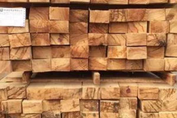 什么是橡胶木,多为高大乔木