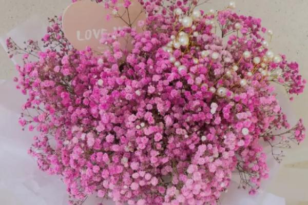 满天星的花语,不同颜色的花语不同