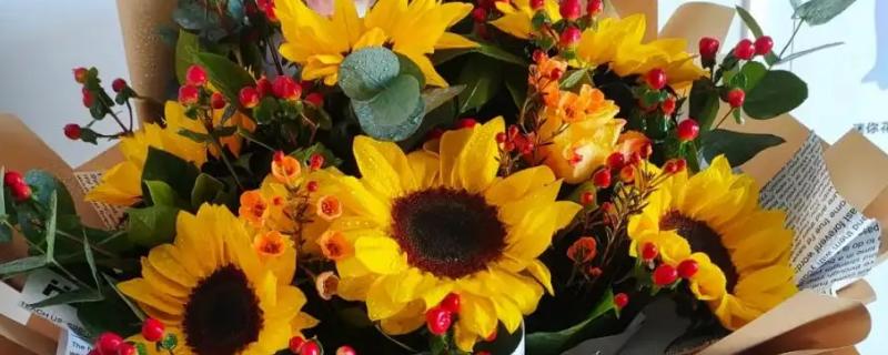 六朵向日葵的花语，寓意幸福、阳光