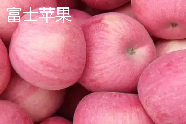 普通苹果与糖心苹果有什么区别,前者全年均可成熟、后者只在11月份成熟