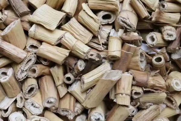 芦根是什么植物的根,是芦苇的根