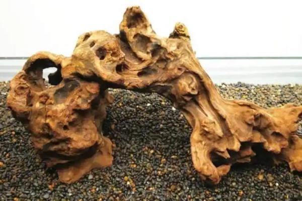 普通树根能否做沉木,可以做沉木但要经过水煮或晾晒