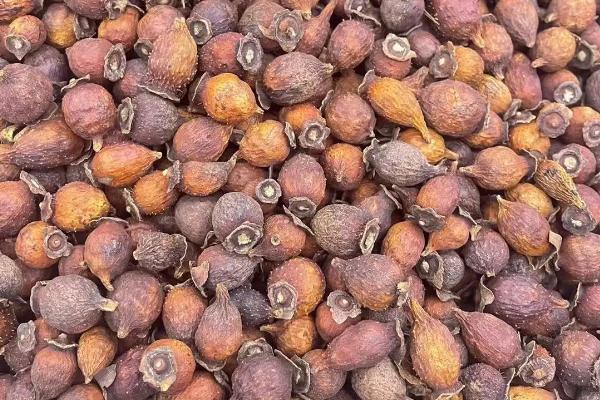 刚摘的金樱子要怎样处理,第一步就是要将种子清理干净