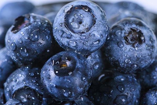 无需授粉蓝莓品种有哪些,常见这4种