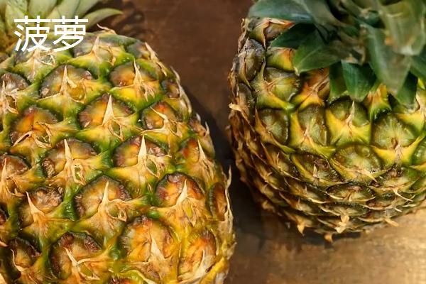 凤梨的叶片有没有锯齿,部分品种的叶片边缘长有锯齿