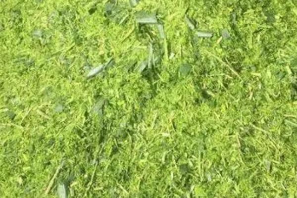 青储和青贮的区别，制作方法不同