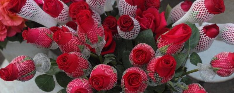 21朵玫瑰花代表什么意思，寓意我爱你