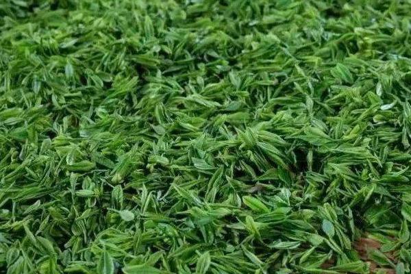 径山茶产地,产自浙江省杭州市余杭区的径山