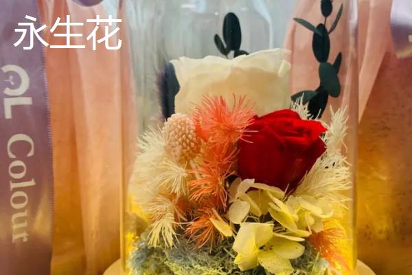 干花和永生花的区别，保存时间、制作工艺和价格均不同