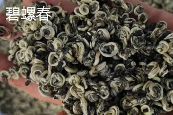 什么绿茶最香最好喝，推荐以下10种