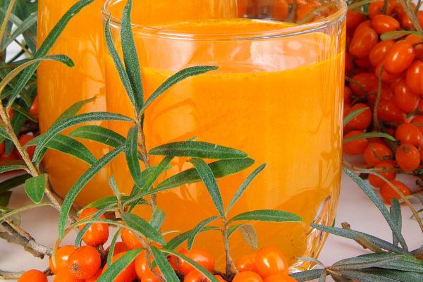 沙棘的食用方法，可以直接食用或榨汁饮用