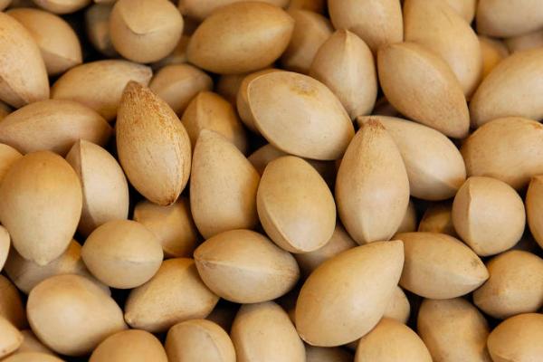 白果有毒吗，白果的外表皮和绿色胚部含有毒