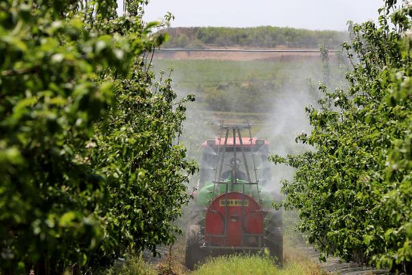 苹果树开花前打什么药，针对不同的病虫害所用药不同