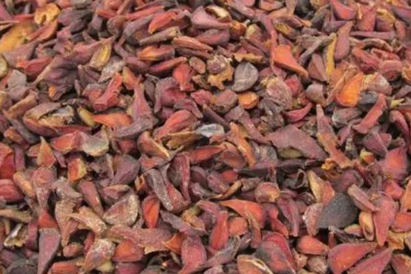 木瓜种子的播种方法，挖穴后可进行撒播