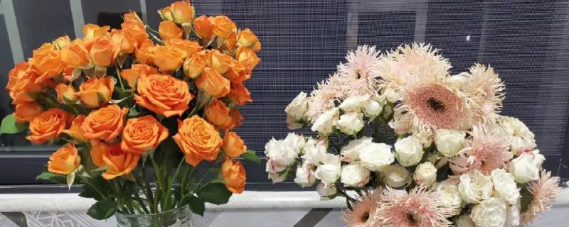 多头玫瑰为何叫泡泡，花朵聚集在一起的肥皂泡泡一样