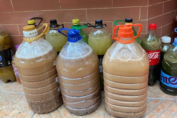 柚子皮如何制成肥料,放入容器内加水密封两周即可