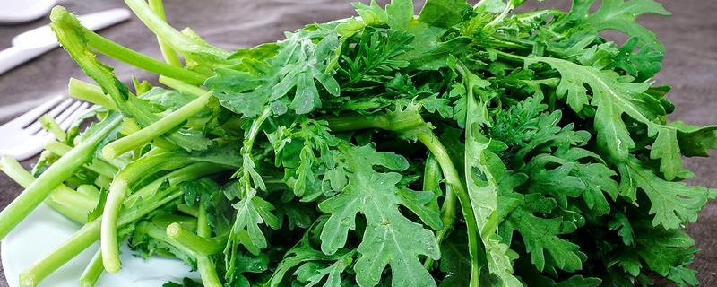 筒篙菜的种植时间，可以在每年的春秋冬三季种植