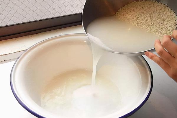 淘米水腐熟需要多久,通常需要15-30天左右