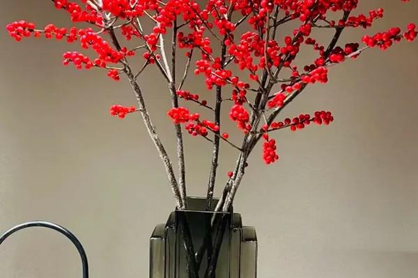 银柳花怎么养,首先挑选生长粗壮、无病虫害的枝条