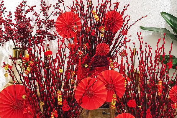 银柳花怎么养,首先挑选生长粗壮、无病虫害的枝条
