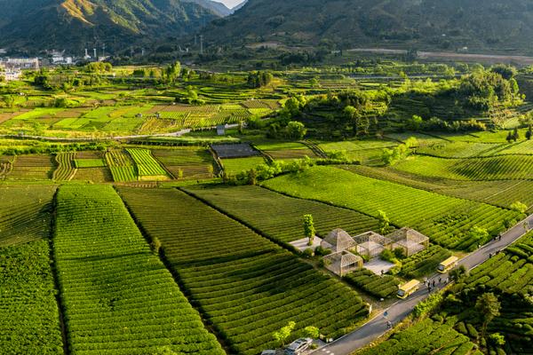 什么是绿色农业，是一种协调农业生产和环境保护的农业发展类型