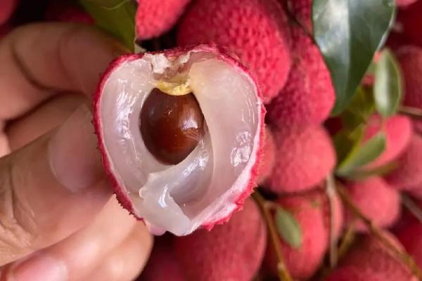 荔枝的品种,常见的有妃子笑、桂味和元红