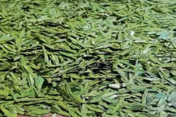 新昌西湖龙井是绿茶吗,属于绿茶